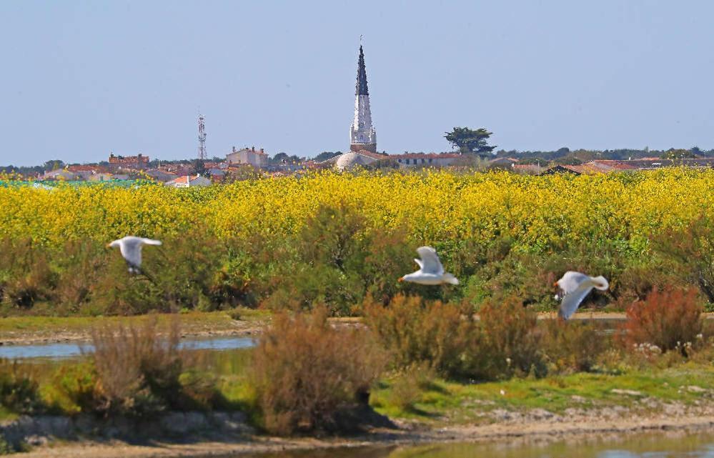 La Passerose jardin clos 300mplage la Couarde sur mer Bed and Breakfast Exterior foto